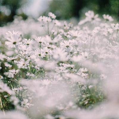 完美电竞app下载